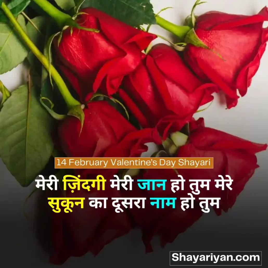 Valentine Day Shayari in hindi 💘 वैलेंटाइन डे शायरी 14 February Valentine’s Day Shayari