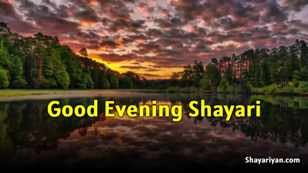 Good Evening Shayari