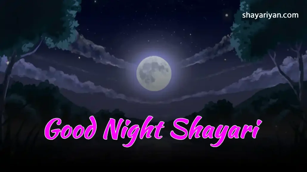 Good Night Shayari शुभ रात्रि शायरी